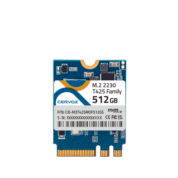 M2 2230 SSD T425 01